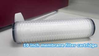 Kartrid filter membran DOE 10 inci