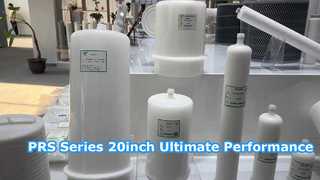 Seri PRS 20 inci