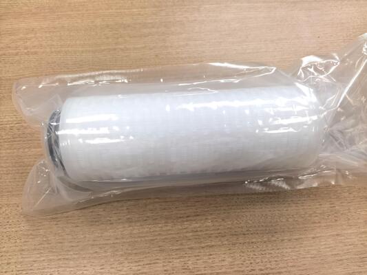 PLPP Series Ultra High Dirt Holding Capacity Pleated Filter Cartridge dengan Desain Gradient Pore Size dan Kompatibilitas Kimia Luas